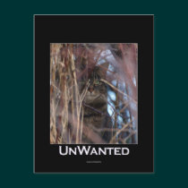 Wild Tabby Cat Demotivational Animal Postcard postcards