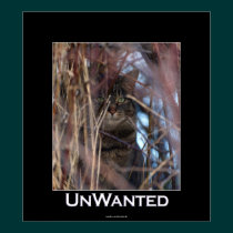 Wild Tabby Cat Demotivational Animal Poster posters
