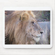 WILD THING - LION MOUSE PAD