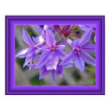 Wild Thing - Purple Poster posters by Floral_Dreamsnet Wild Thing - Purple Poster posters