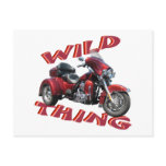 Wild Thing Trike Postcard