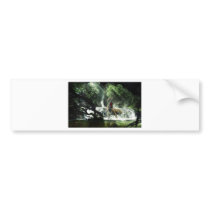 Wild Tiger Attacking a Monkey Bumper Sticker