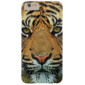 Wild Tiger Graphic Design