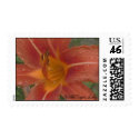 Wild Tiger Lily postage by dianaparkerart Wild Tiger Lily postage