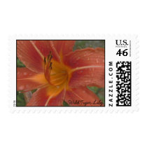 Wild Tiger Lily postage by dianaparkerart Wild Tiger Lily postage