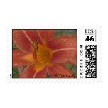 Wild Tiger Lily postage