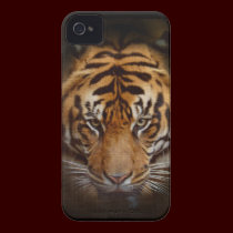 Wild Tiger Wildlife Fine Art Mobile Phone Case casemate cases