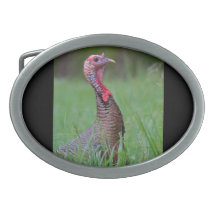Wild Tom Oval Belt Buckle