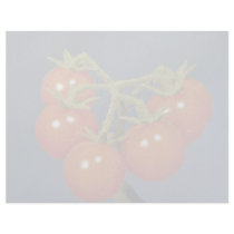 Wild tomato (Lycopersicon pimpinellifolium) Letterhead Design