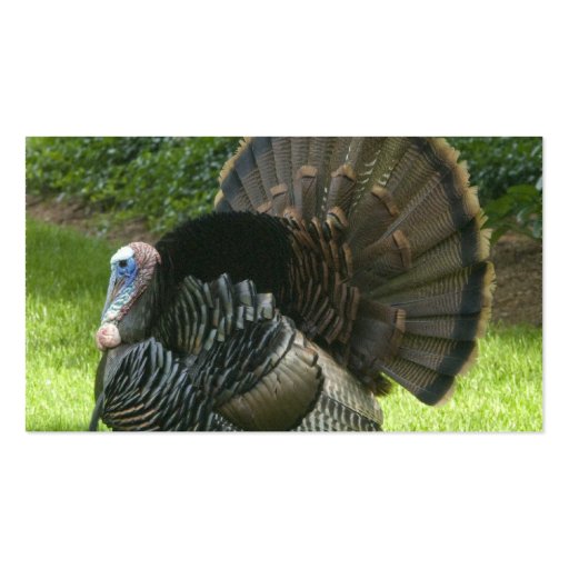 Wild Turkey Business Card (back side)