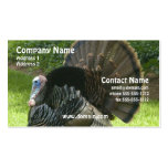 Wild Turkey Business Card
