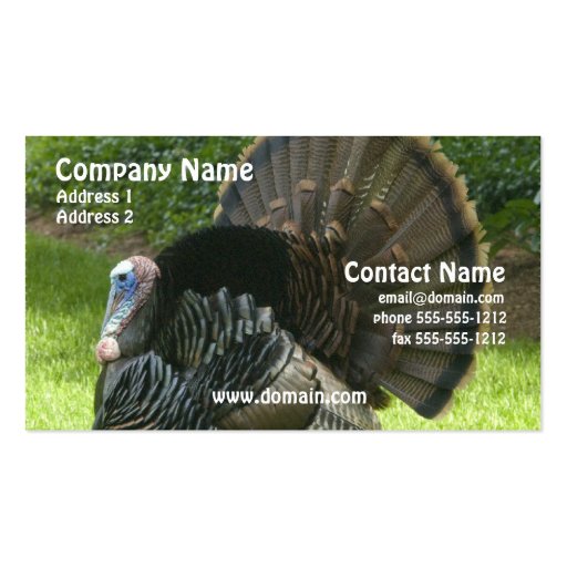 Wild Turkey Business Card (front side)