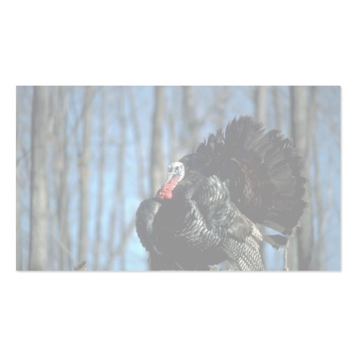 Wild turkey business card (back side)