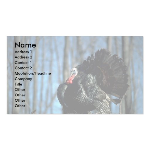 Wild turkey business card (front side)