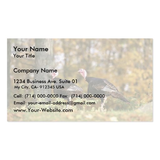 Wild turkey business card templates (front side)