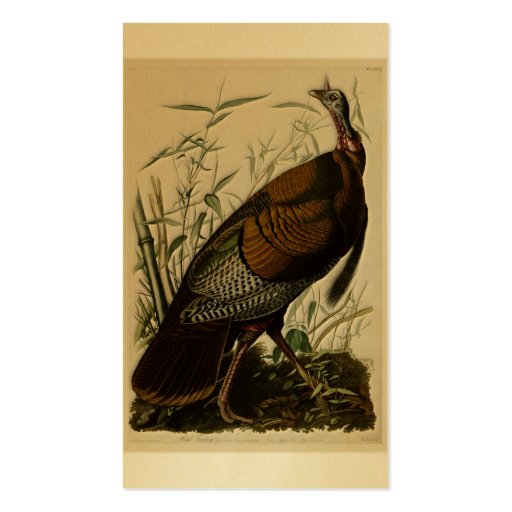Wild Turkey by John Audubon Business Card Templates (back side)