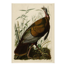 Wild Turkey by John Audubon Personalized Invitation