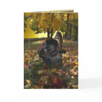 Wild Turkey Card