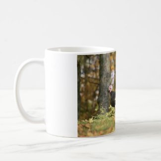 Wild turkey coffee mugs