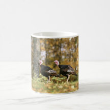Wild turkey coffee mugs