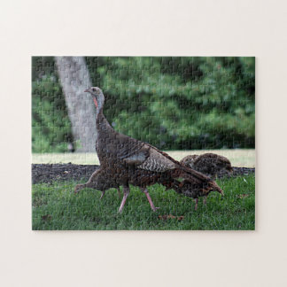 Turkey Jigsaw Puzzles | Zazzle
