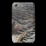 Wild Turkey Feathers iPhone3 Case Iphone 3 Case-mate Cases