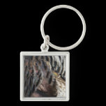 Wild Turkey Feathers Keychain