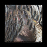 Wild Turkey Feathers Magnet