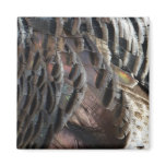 Wild Turkey Feathers Magnet