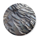 Wild Turkey Feathers Magnet