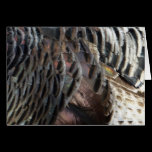 Wild Turkey Feathers Nature Card