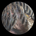 Wild Turkey Feathers Sticker