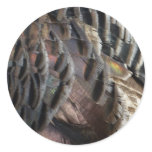 Wild Turkey Feathers Sticker