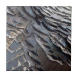 Wild Turkey Feathers Tile