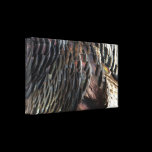 Wild Turkey Feathers Wrapped Canvas Canvas Print