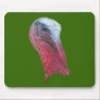 Wild Turkey Head