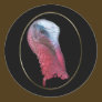 Wild Turkey Head
