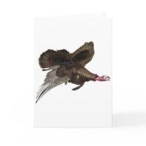 Wild Turkey Hunting Greeting Cards