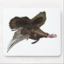 Wild Turkey Hunting