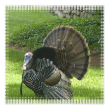 Wild Turkey Invitation