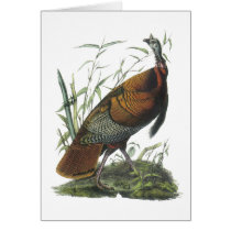 Wild Turkey, John Audubon Greeting Card