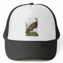 Wild Turkey, John Audubon Trucker Hats