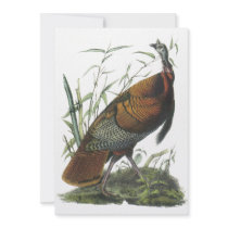 Wild Turkey, John Audubon Personalized Invites