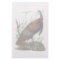 Wild Turkey, John Audubon Stationery Design