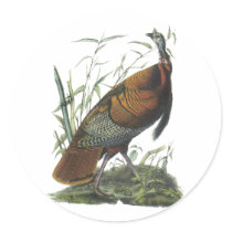 Wild Turkey, John Audubon Stickers
