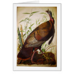 Wild Turkey, John James Audubon Greeting Cards