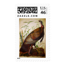 Wild Turkey, John James Audubon Postage Stamp
