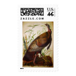 Wild Turkey, John James Audubon Postage Stamp