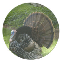 Wild Turkey Plate