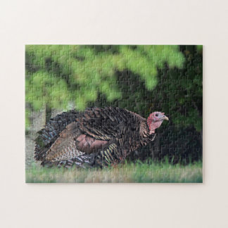 Turkey Jigsaw Puzzles | Zazzle